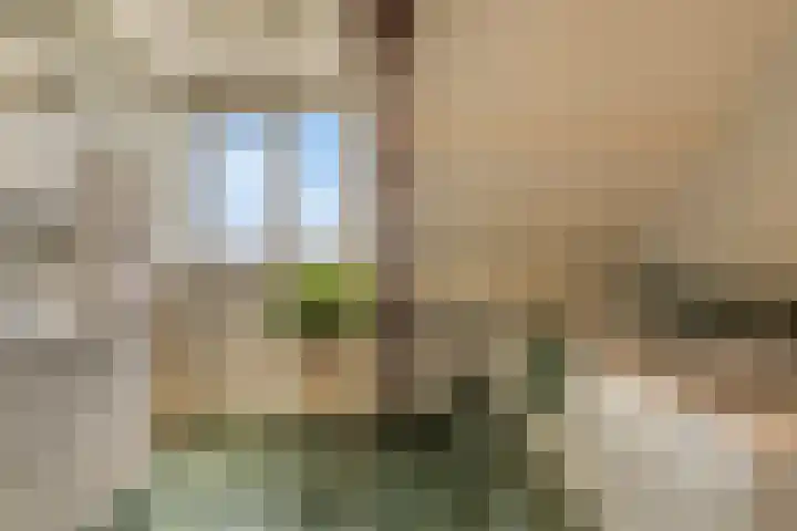 Kruisstraat 56 Rosmalen thumbnail 48