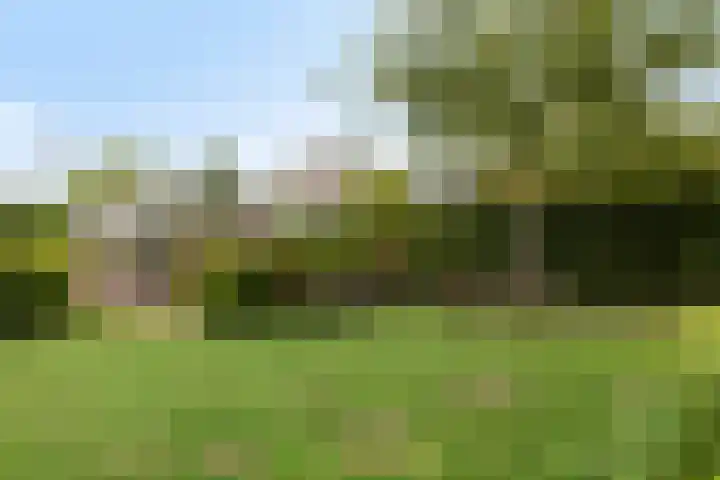 Kruisstraat 56 Rosmalen thumbnail 66