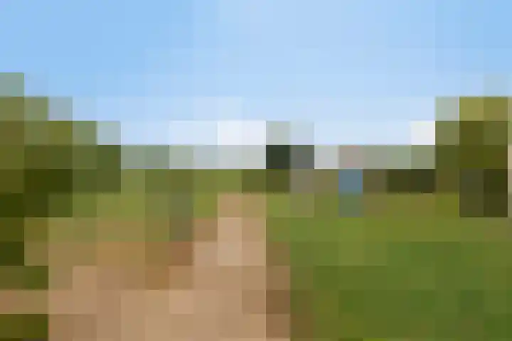 Kruisstraat 56 Rosmalen thumbnail 68