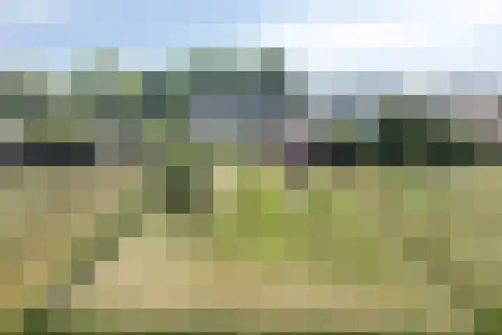 Kruisstraat 56 Rosmalen thumbnail 98