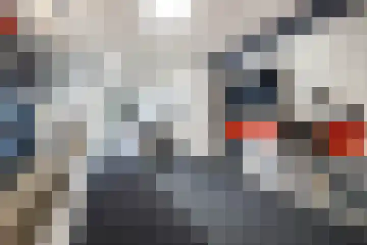 Kruisstraat 57 Stein thumbnail 14