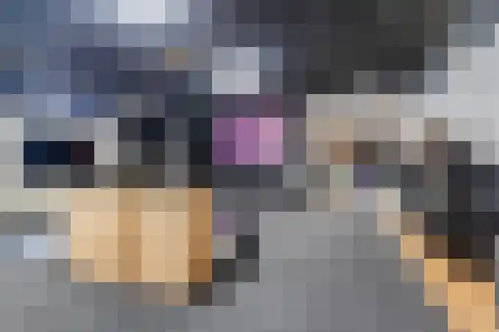 Kruisstraat 57 Stein thumbnail 17