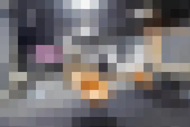 Kruisstraat 57 Stein thumbnail 19