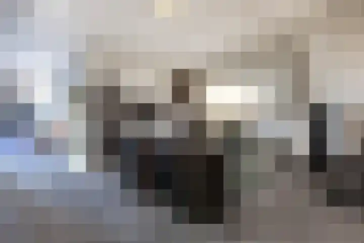Kruisstraat 57 Stein thumbnail 23