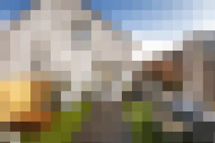 Kruisstraat 57 Stein thumbnail 30