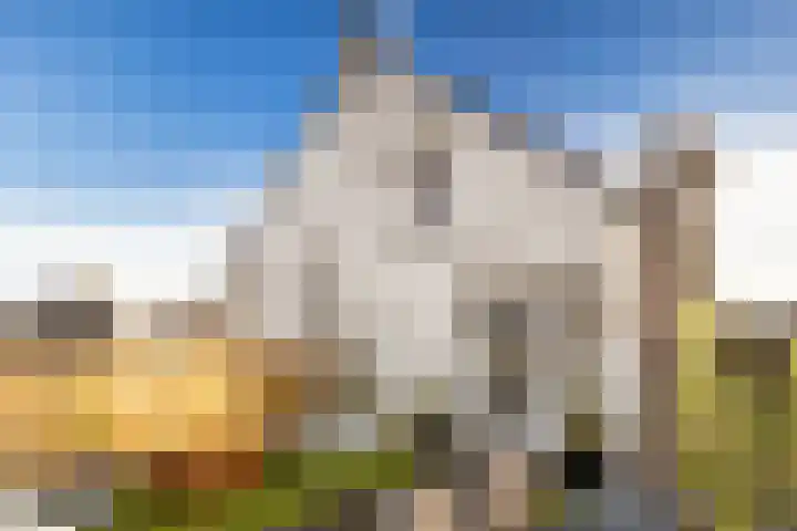 Kruisstraat 57 Stein thumbnail 31