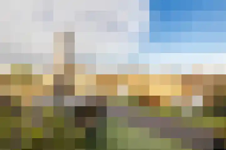 Kruisstraat 57 Stein thumbnail 32
