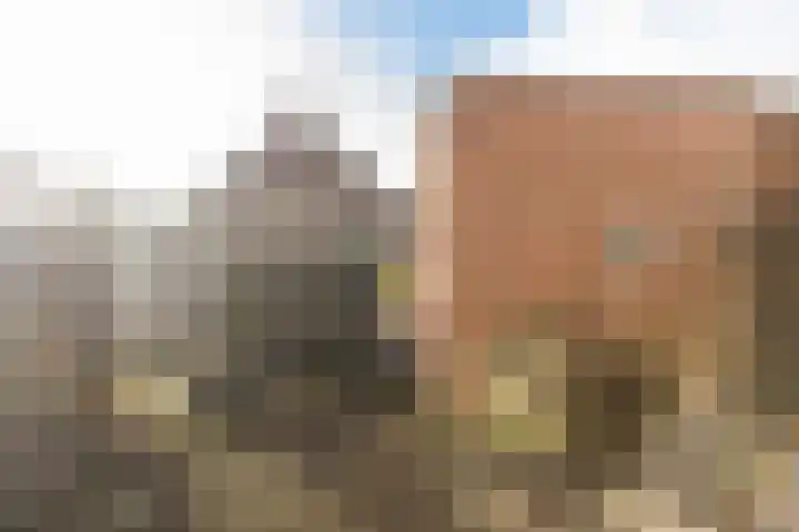 Kruisstraat 57 Stein thumbnail 35