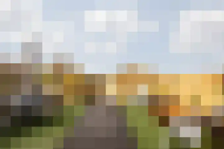 Kruisstraat 57 Stein thumbnail 4
