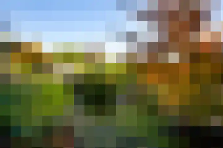 Kruisstraat 59 Nederweert-Eind thumbnail 31