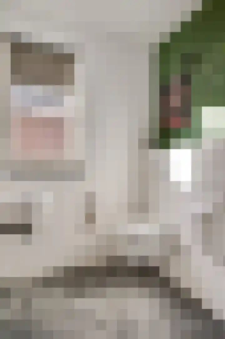 Kruisstraat 59 Nederweert-Eind thumbnail 7