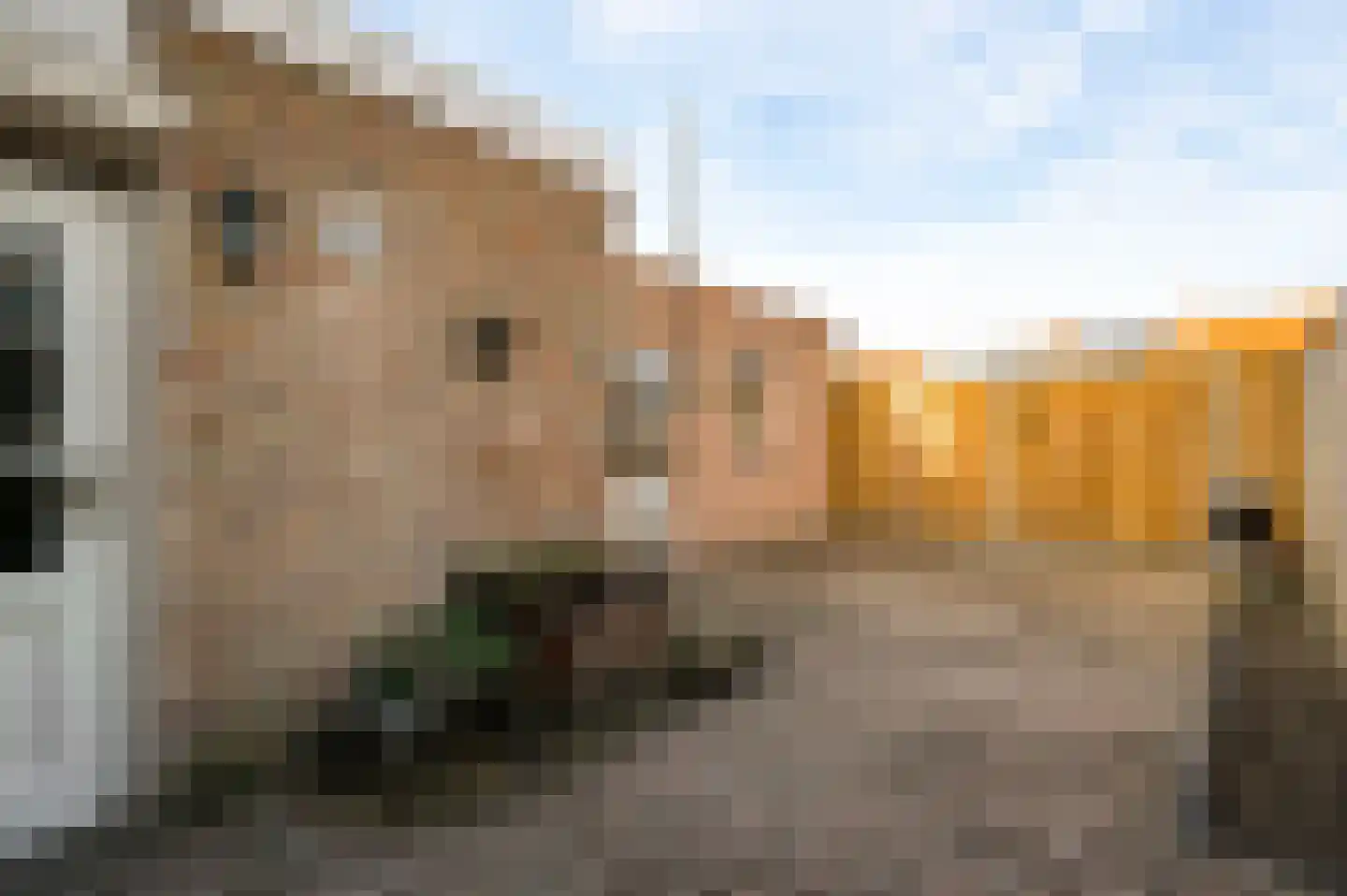 Kruisstraat 59 Weert thumbnail 26