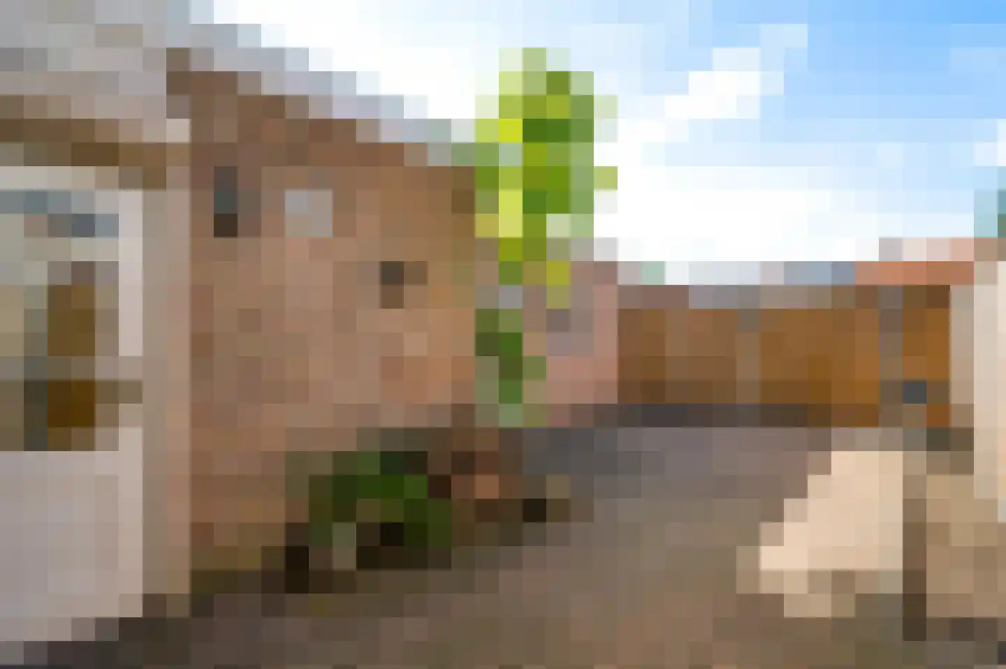 Kruisstraat 59 Weert thumbnail 4