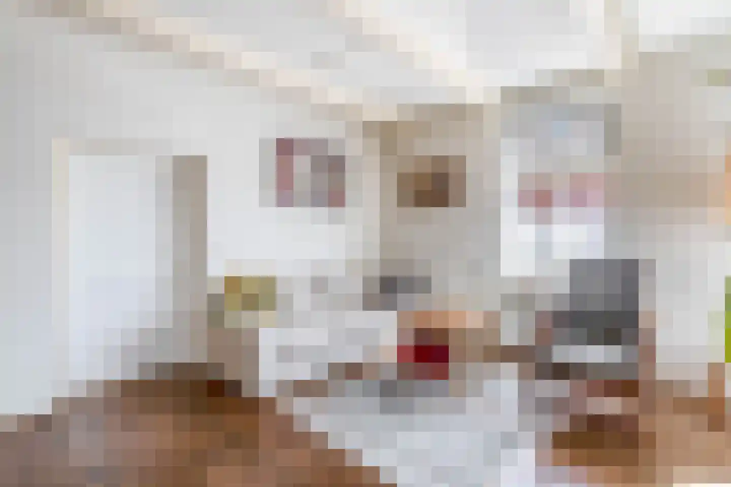 Kruisstraat 6 Bad Nieuweschans thumbnail 11