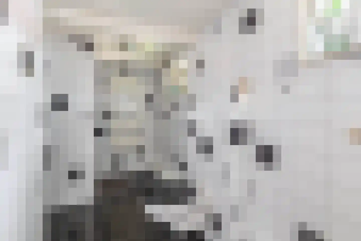 Kruisstraat 6 Bad Nieuweschans thumbnail 20