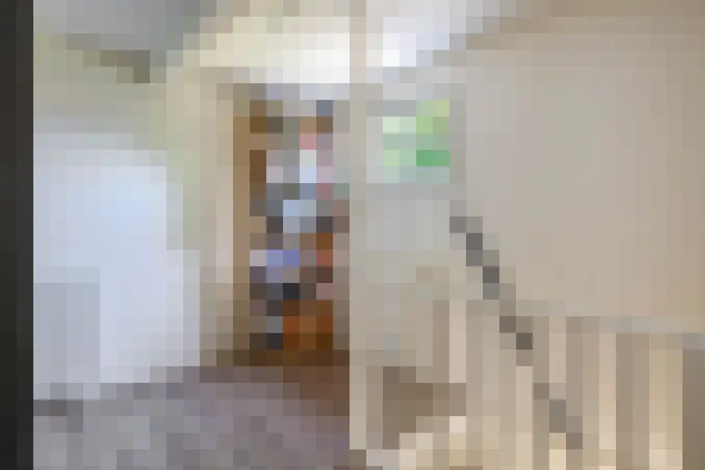 Kruisstraat 6 Bad Nieuweschans thumbnail 23