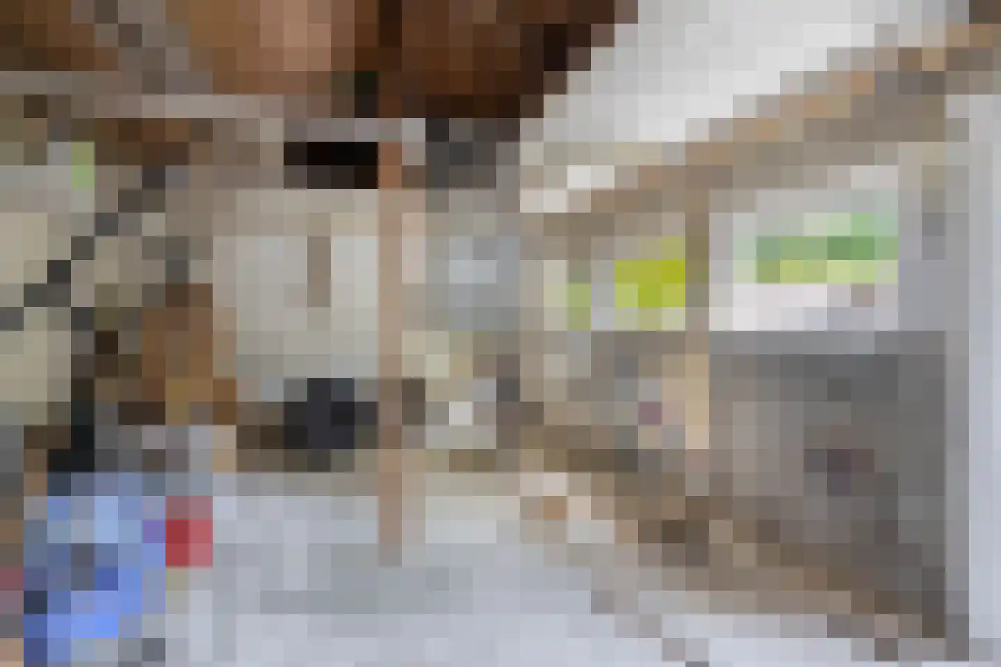 Kruisstraat 6 Bad Nieuweschans thumbnail 27