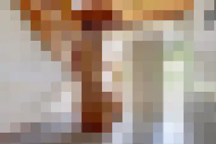 Kruisstraat 6 Didam thumbnail 12