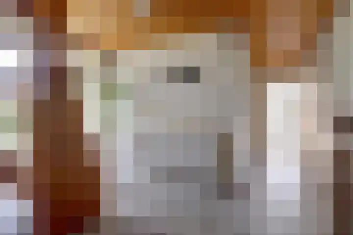 Kruisstraat 6 Didam thumbnail 36