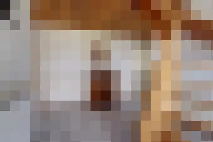 Kruisstraat 6 Didam thumbnail 37