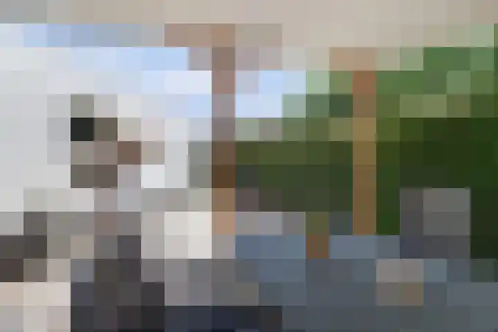 Kruisstraat 6 Didam thumbnail 39