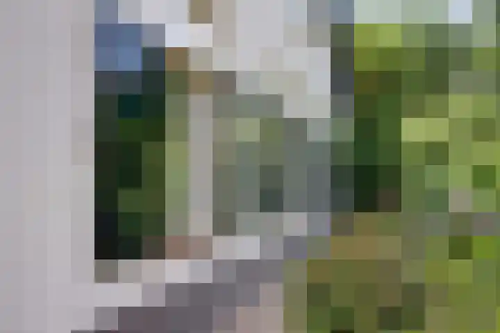 Kruisstraat 6 Didam thumbnail 44