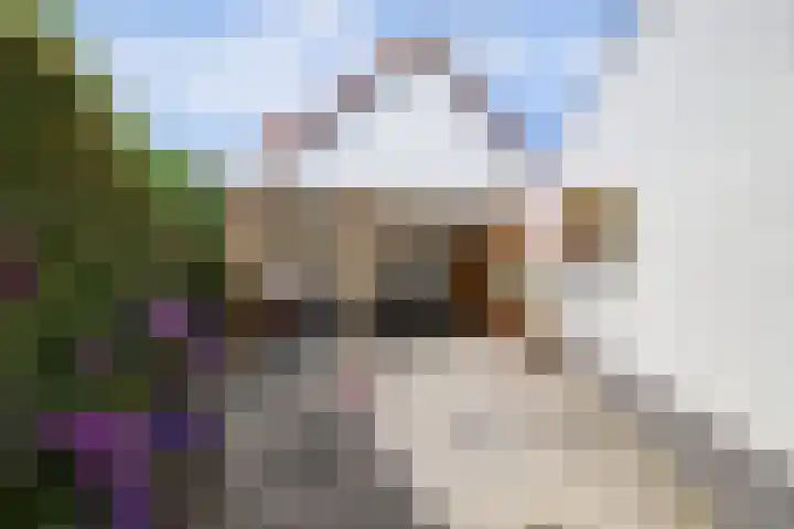 Kruisstraat 6 Didam thumbnail 45