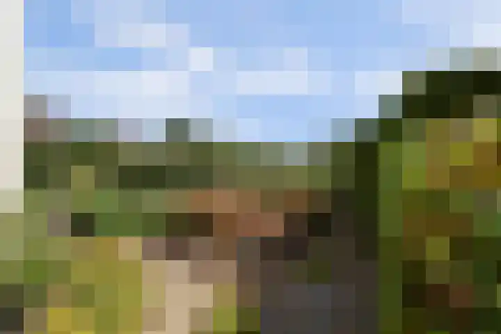 Kruisstraat 6 Didam thumbnail 46