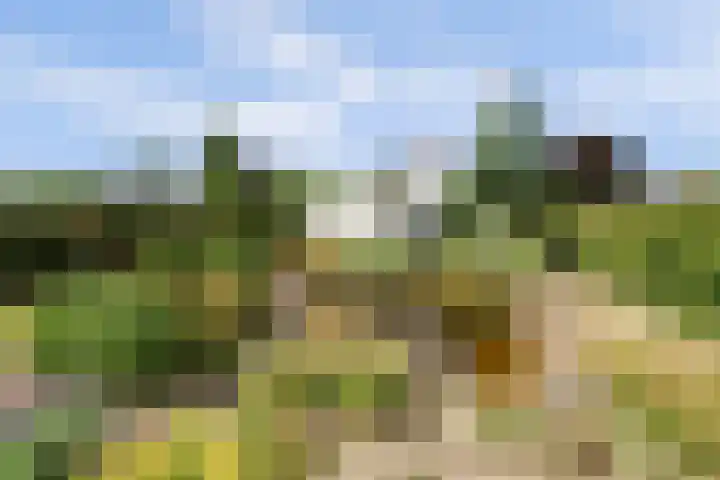 Kruisstraat 6 Didam thumbnail 48