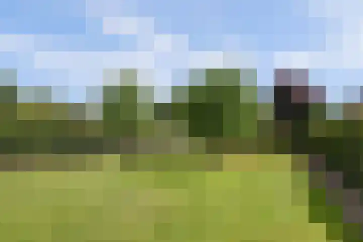 Kruisstraat 6 Didam thumbnail 49