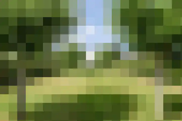 Kruisstraat 6 Didam thumbnail 50