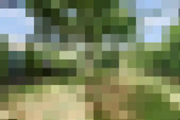 Kruisstraat 6 Didam thumbnail 52
