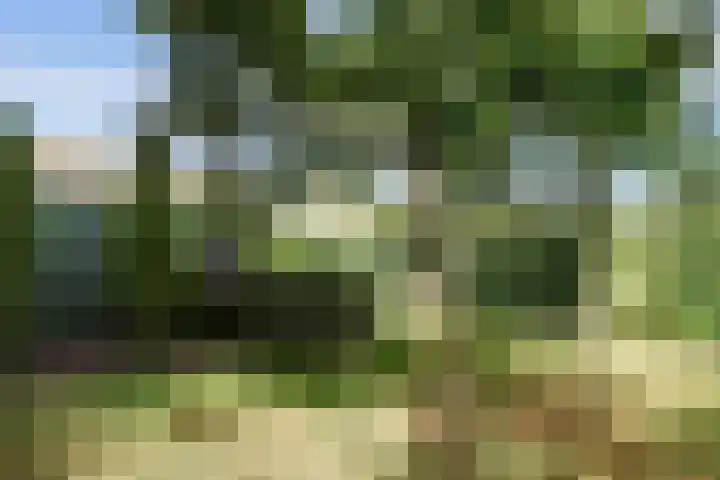 Kruisstraat 6 Didam thumbnail 53