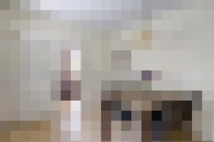 Kruisstraat 6 Didam thumbnail 7