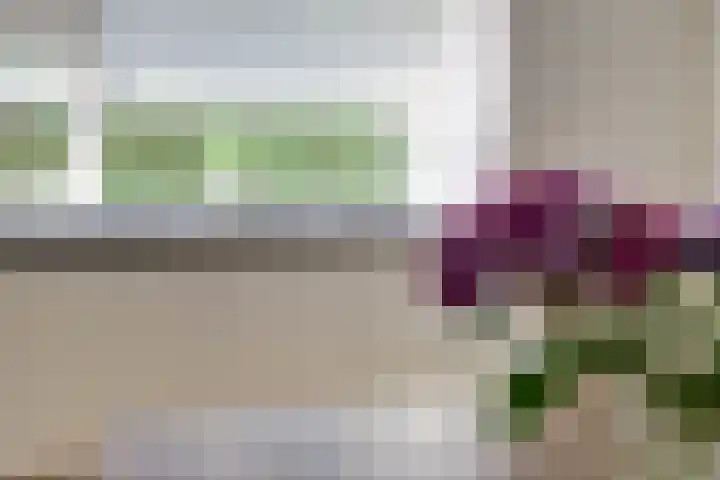 Kruisstraat 6 Didam thumbnail 8