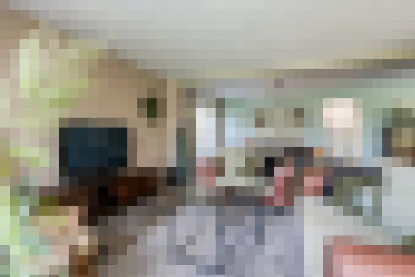 Kruisstraat 6 Kerkwijk thumbnail 18