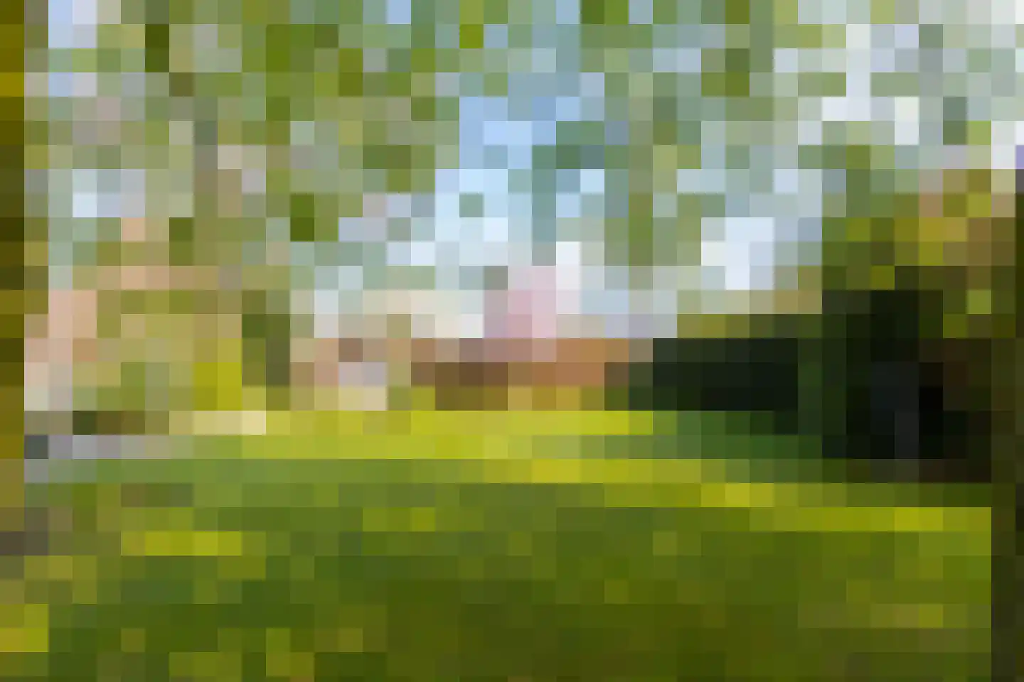 Kruisstraat 6 Kerkwijk thumbnail 4