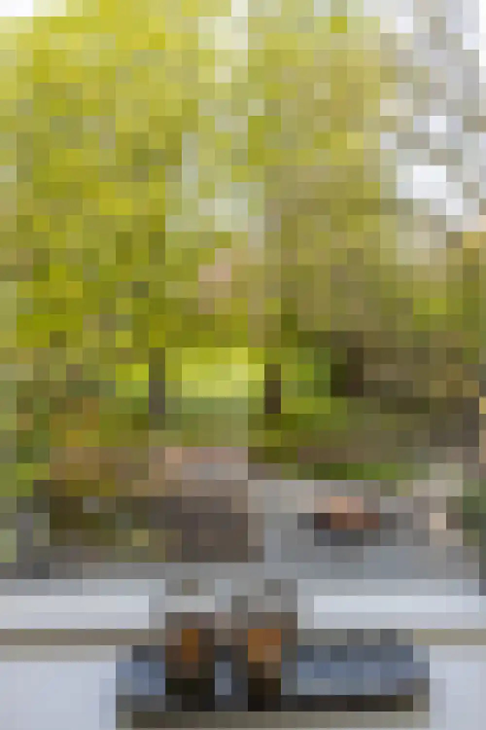 Kruisstraat 6 Kerkwijk thumbnail 43