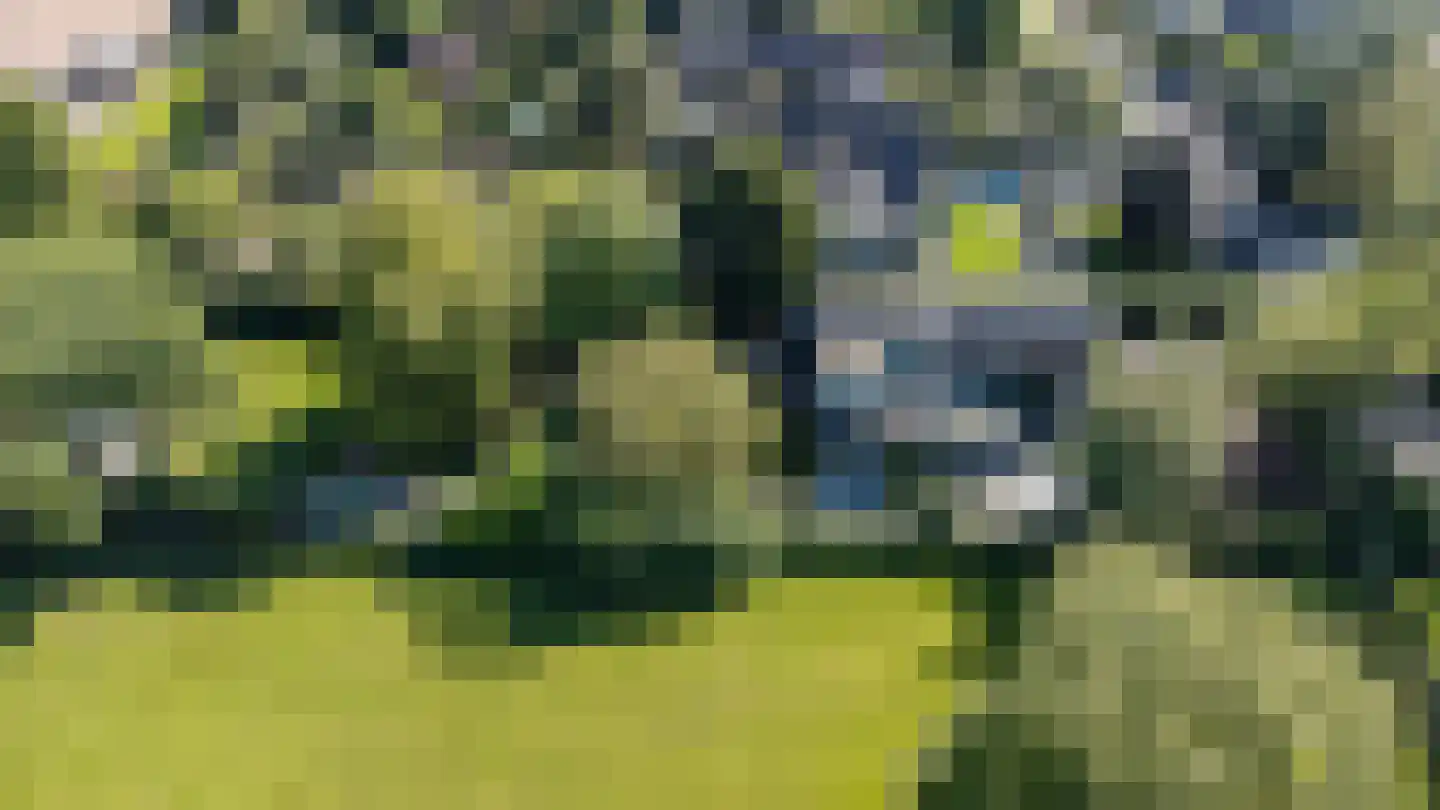 Kruisstraat 6 Kerkwijk thumbnail 47