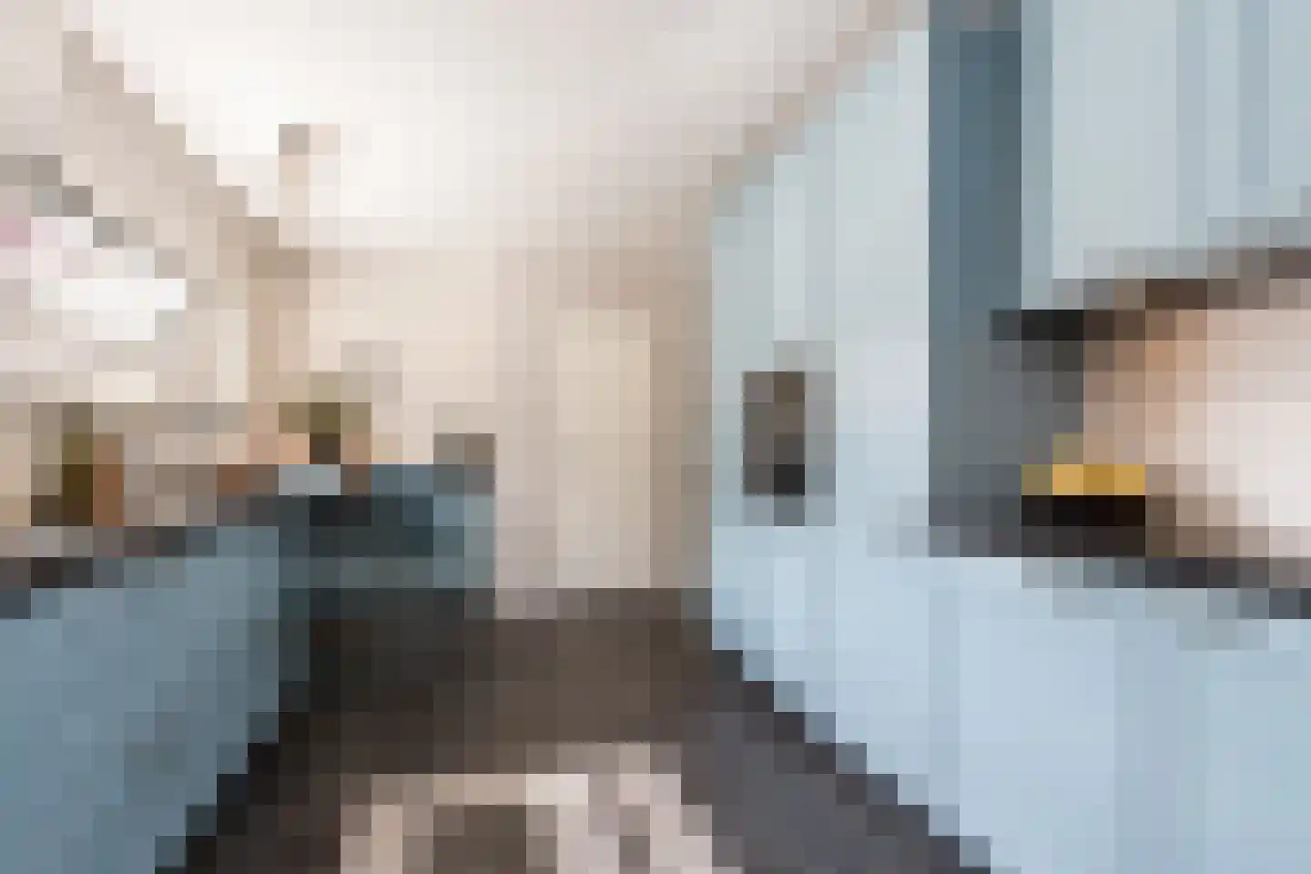 Kruisstraat 6 Kerkwijk thumbnail 5
