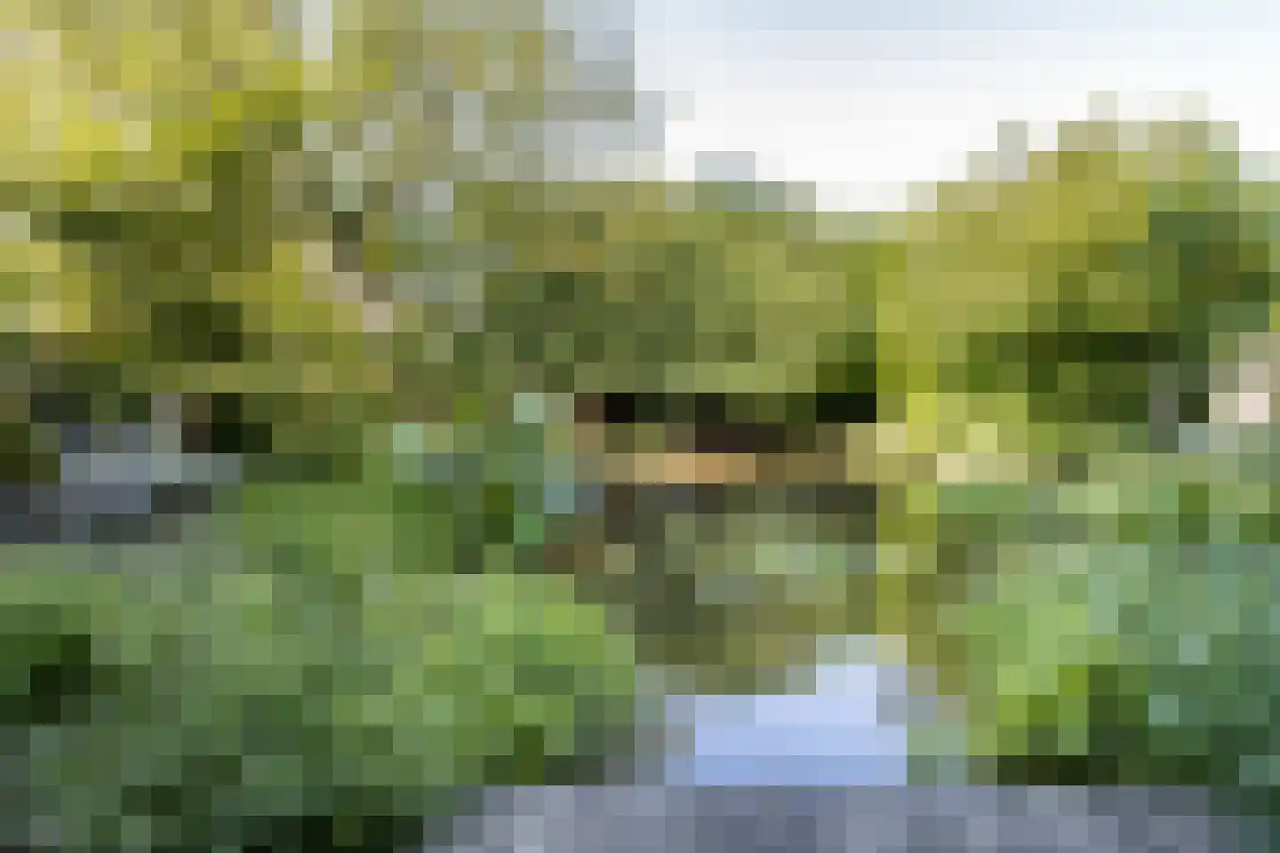Kruisstraat 6 Kerkwijk thumbnail 50