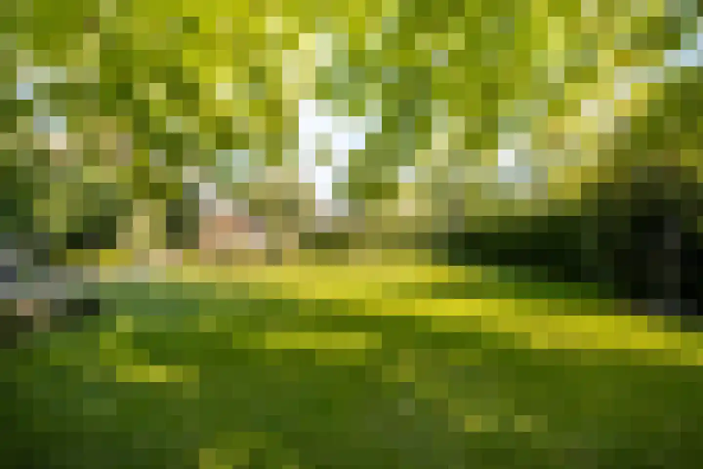 Kruisstraat 6 Kerkwijk thumbnail 51