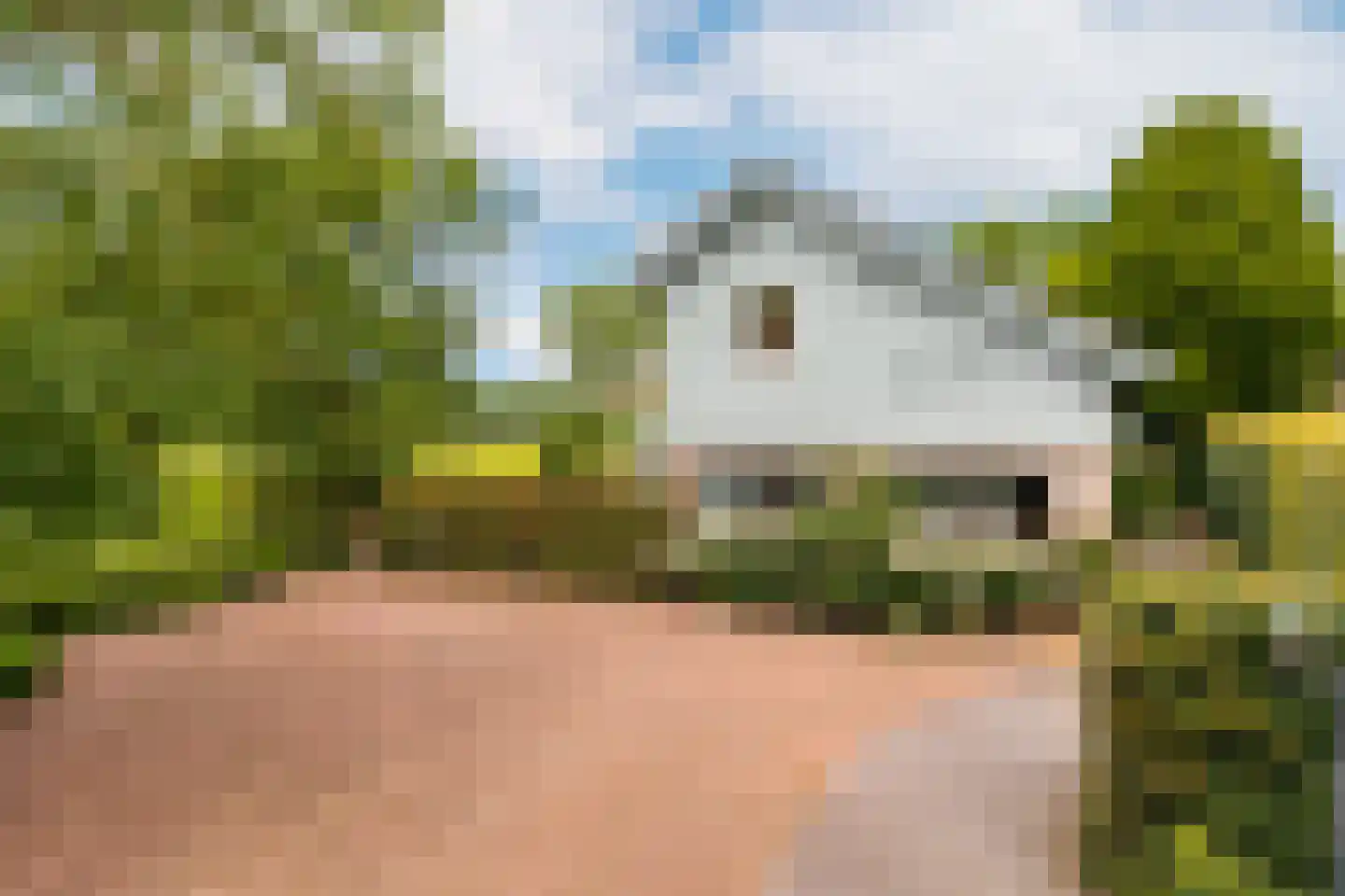 Kruisstraat 6 Kerkwijk thumbnail 58