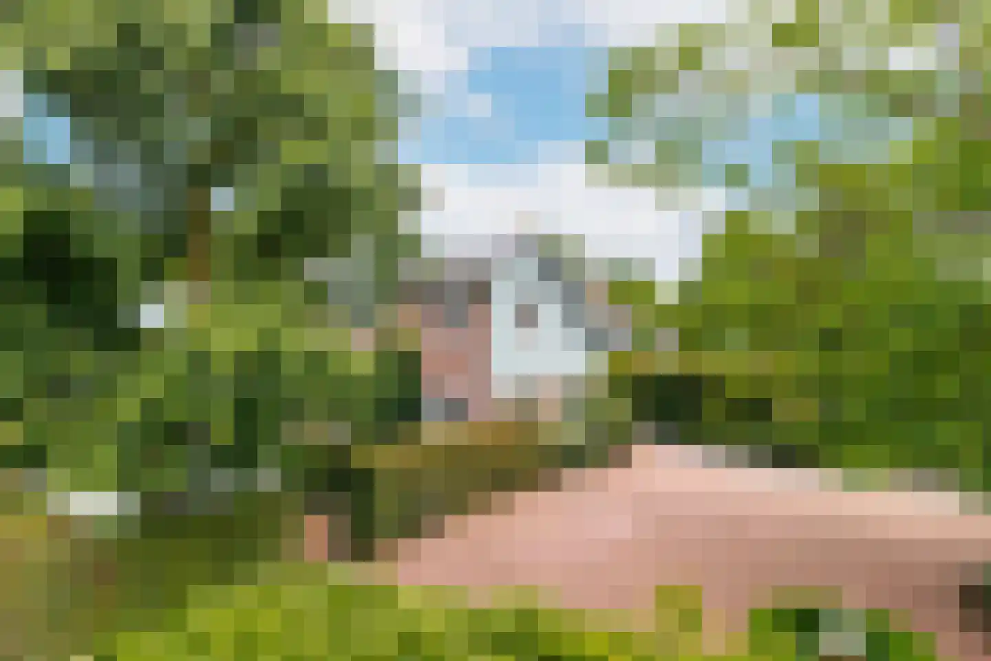 Kruisstraat 6 Kerkwijk thumbnail 59