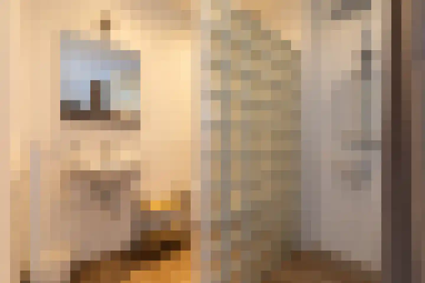 Kruisstraat 6 Valkenburg thumbnail 33