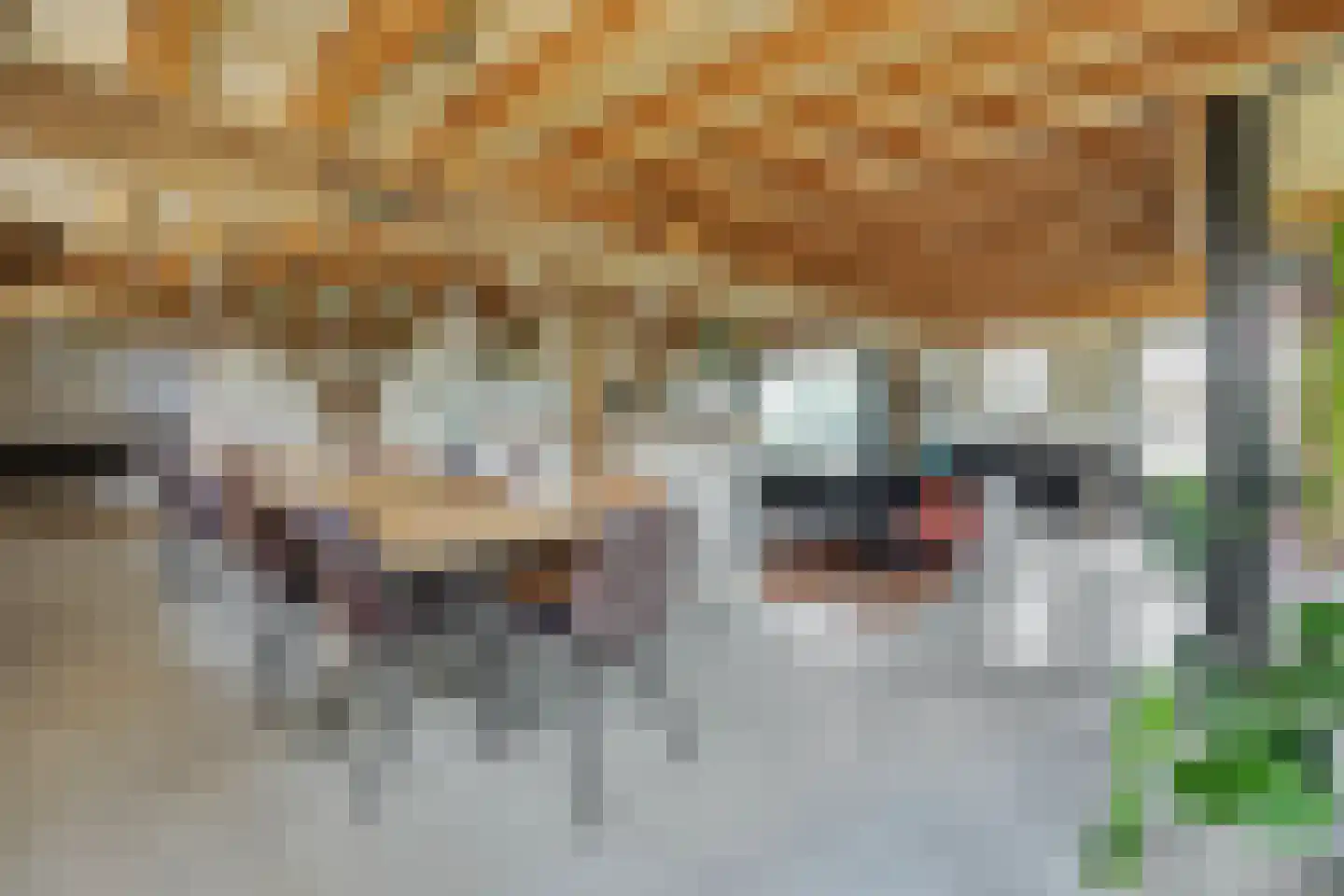 Kruisstraat 64 Rosmalen thumbnail 10