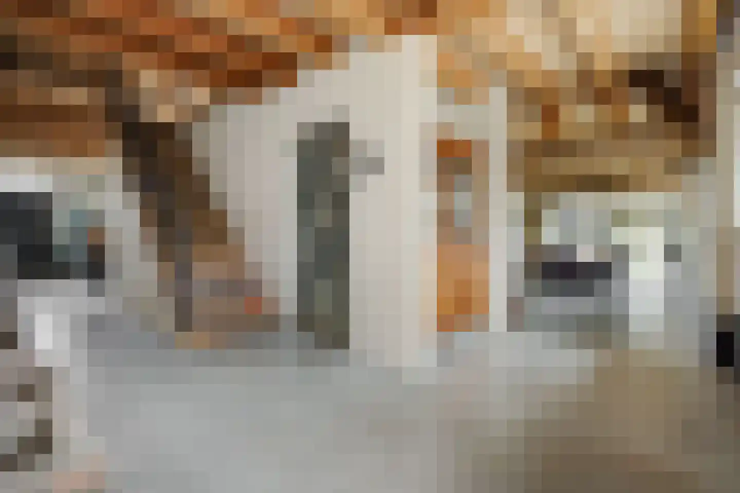 Kruisstraat 64 Rosmalen thumbnail 12
