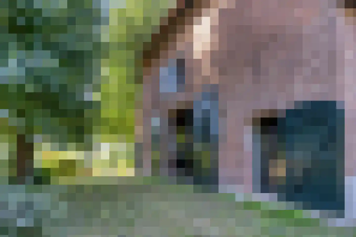 Kruisstraat 64 Rosmalen thumbnail 4