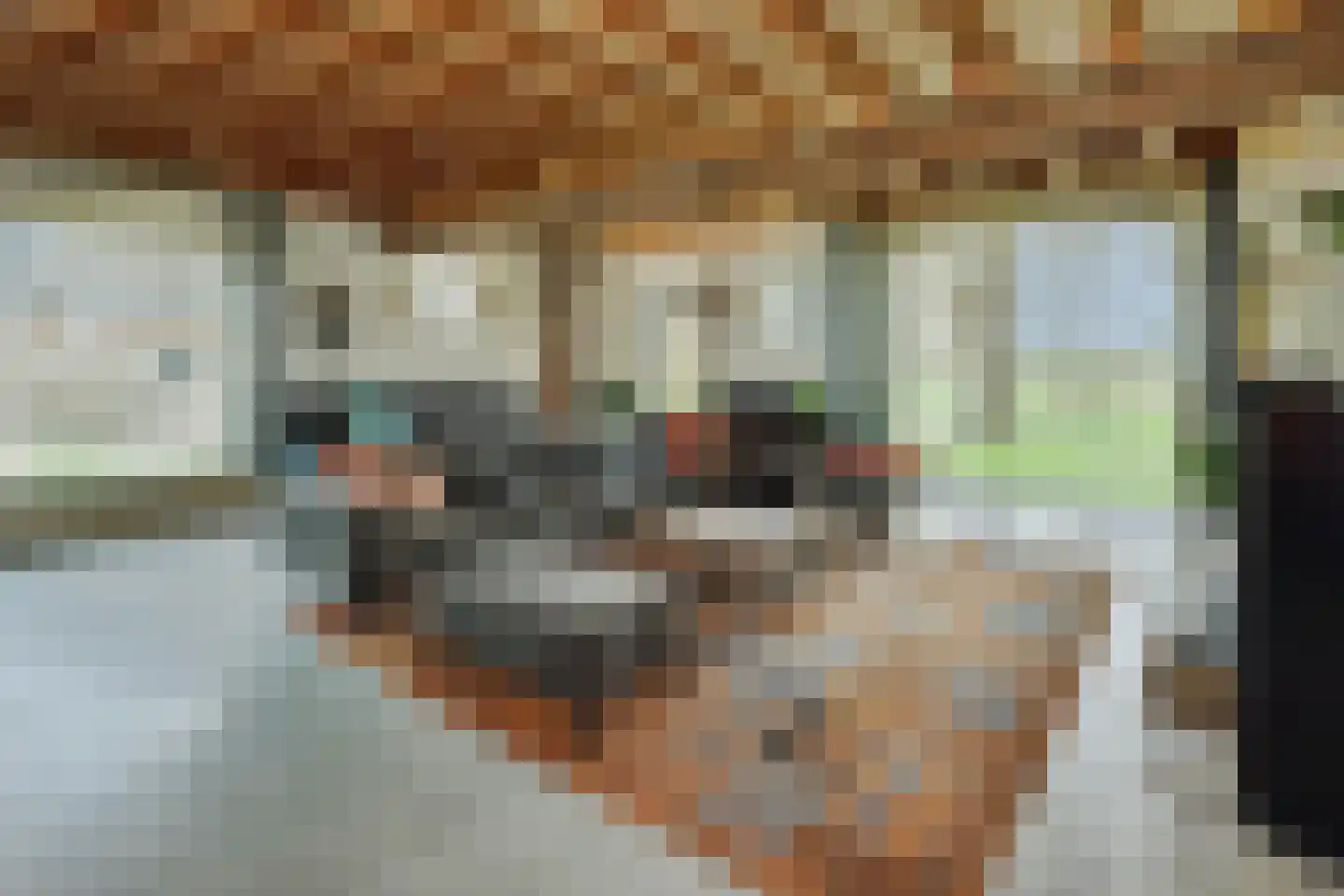 Kruisstraat 64 Rosmalen thumbnail 6