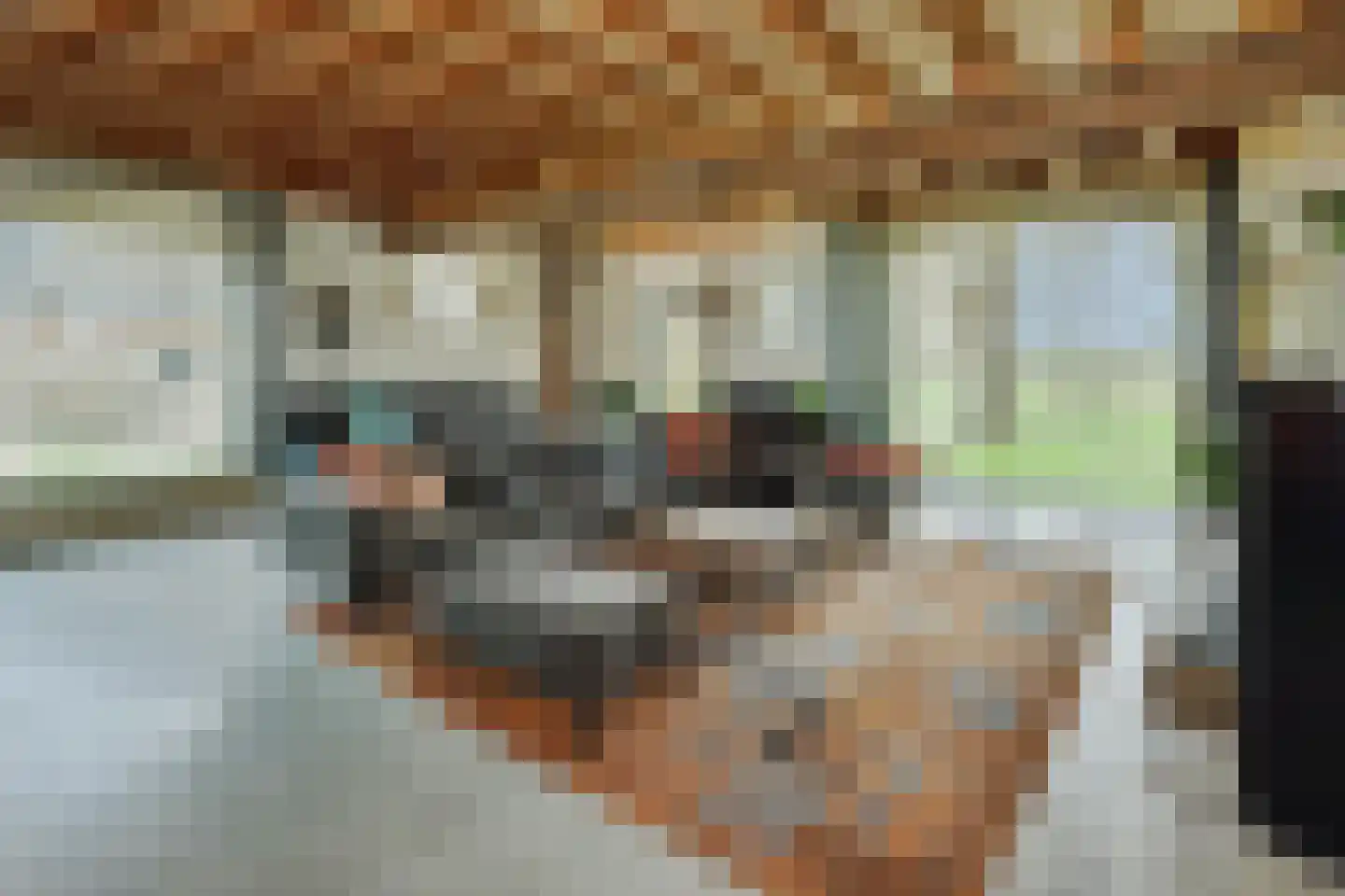 Kruisstraat 64 Rosmalen thumbnail 8